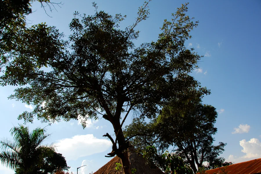 Kingdom of Buganda — Buganda Kingdom Palace, Kampala - Flickr - Dave Proffer (1)
