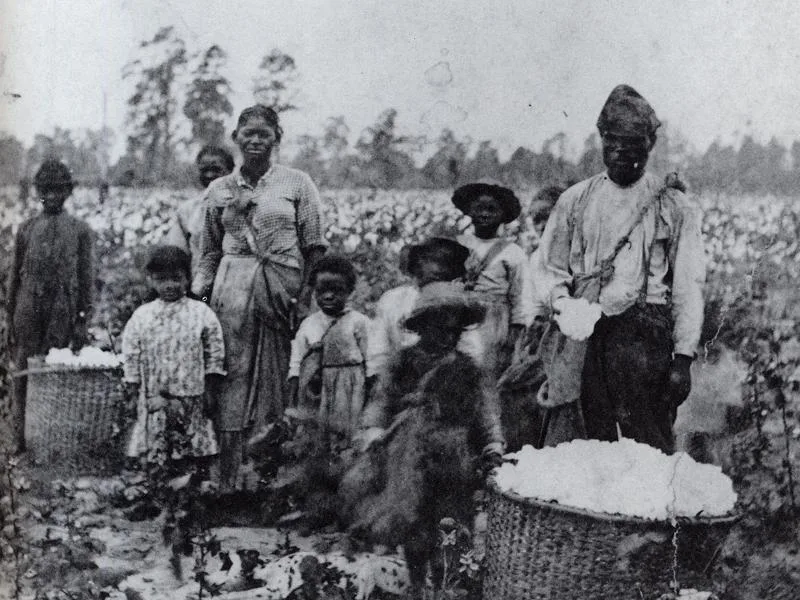 The Antebellum Era — Family of African American picking cotton in Georgia, circa 1880
