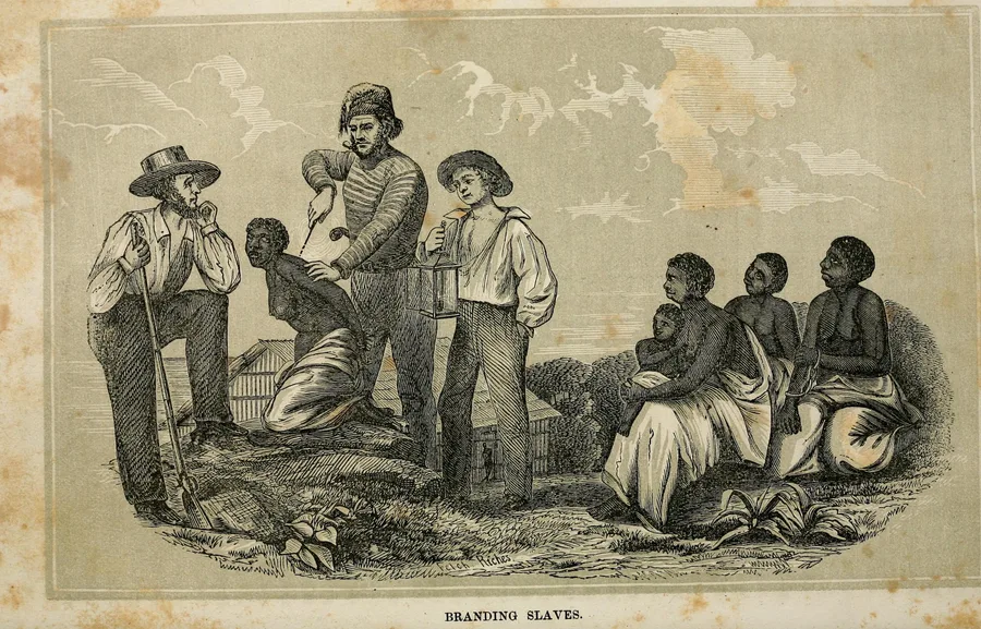 The Transatlantic Slave Trade — The history of slavery and the slave trade, ancient and modern - the forms of slavery that